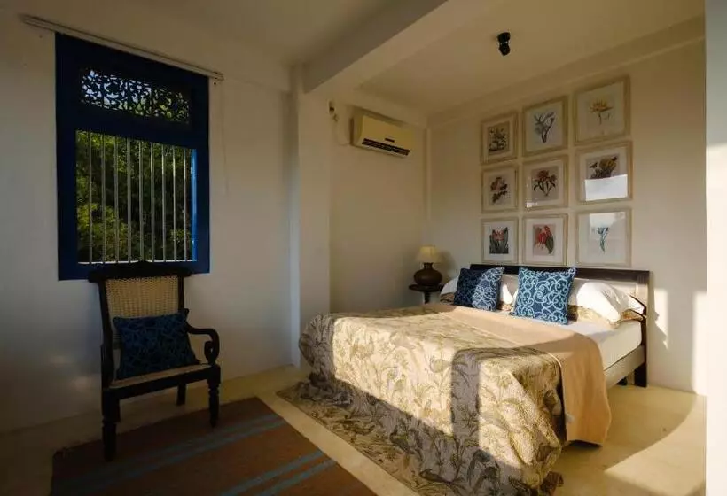 Aamiaismajoitus (B&B) Treasure Rock