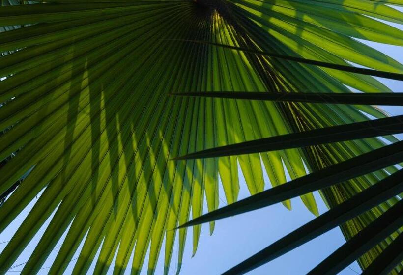 Bed & Breakfast Treasure Rock