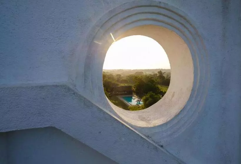 Aamiaismajoitus (B&B) Treasure Rock