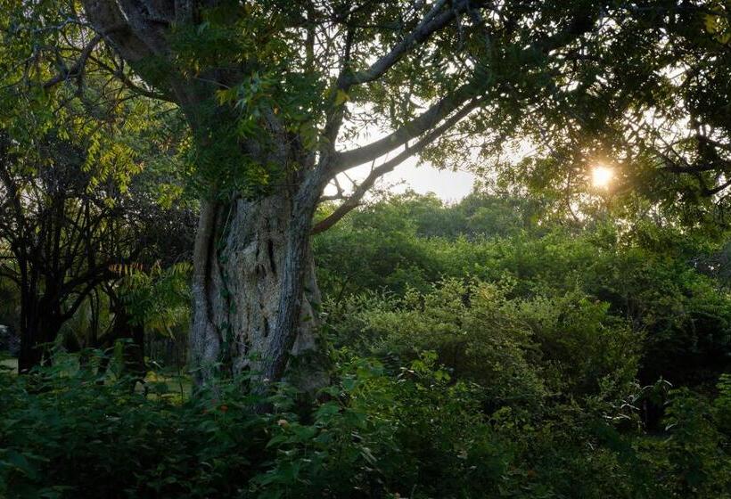 Bed & Breakfast Treasure Rock