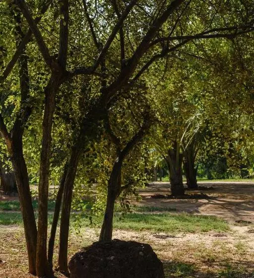 Aamiaismajoitus (B&B) Treasure Rock