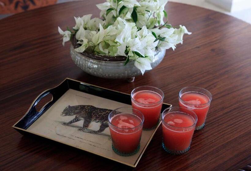 Bed & Breakfast Treasure Rock