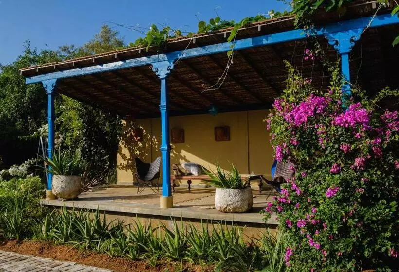 Aamiaismajoitus (B&B) Treasure Rock