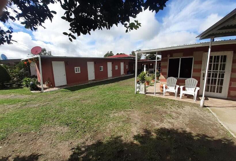 カプセルホテル Hospedaje Rampolla's