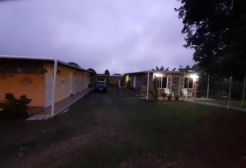 カプセルホテル Hospedaje Rampolla's