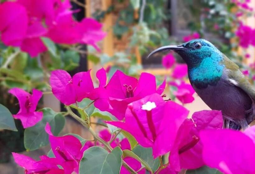 هتل Keelan Ace Villas