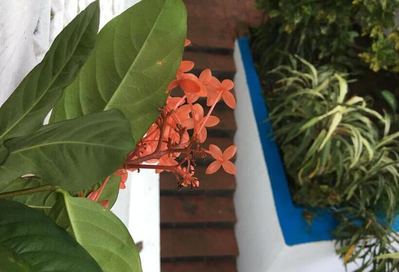 فندق Oceanic Luxury Boutique