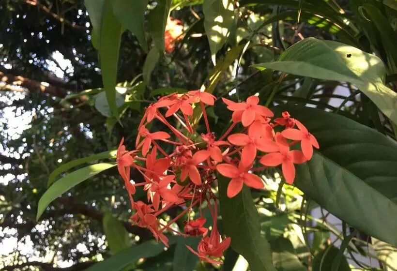 ホテル Oceanic   Luxury Boutique