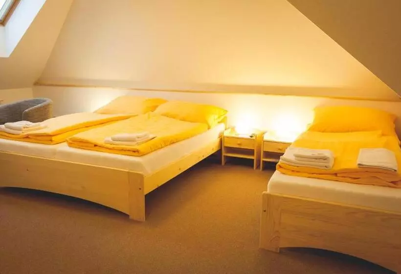 Majatalo Penzion Vila Machů