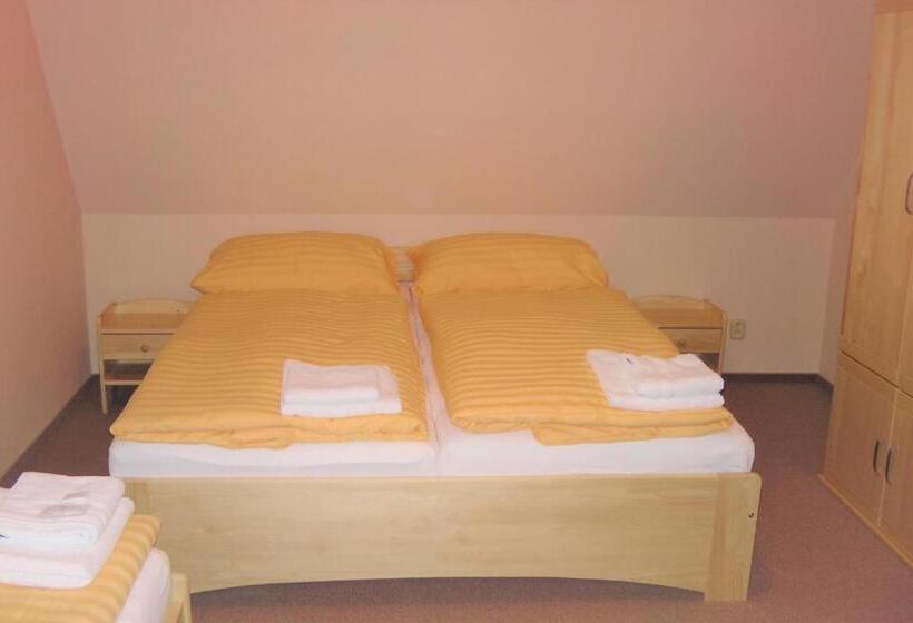 بنسيون Penzion Vila Machů