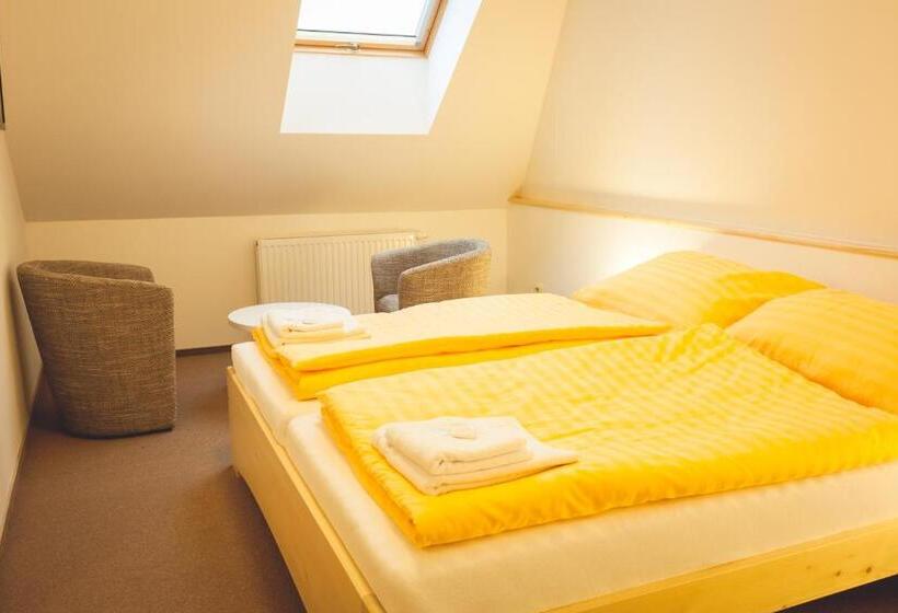 بنسيون Penzion Vila Machů