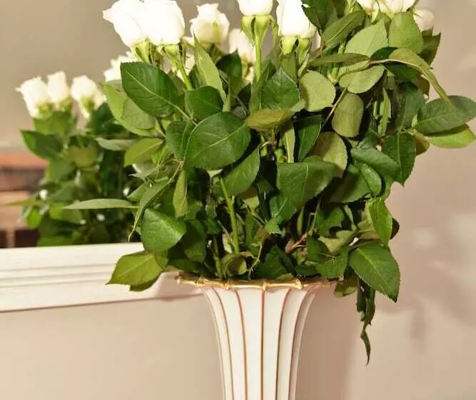 Majatalo The Gables Hermanus