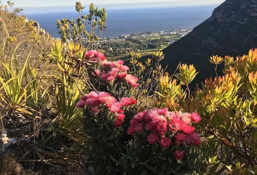 Majatalo The Gables Hermanus
