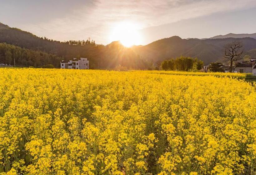 پانسیون 杏竹斋客栈