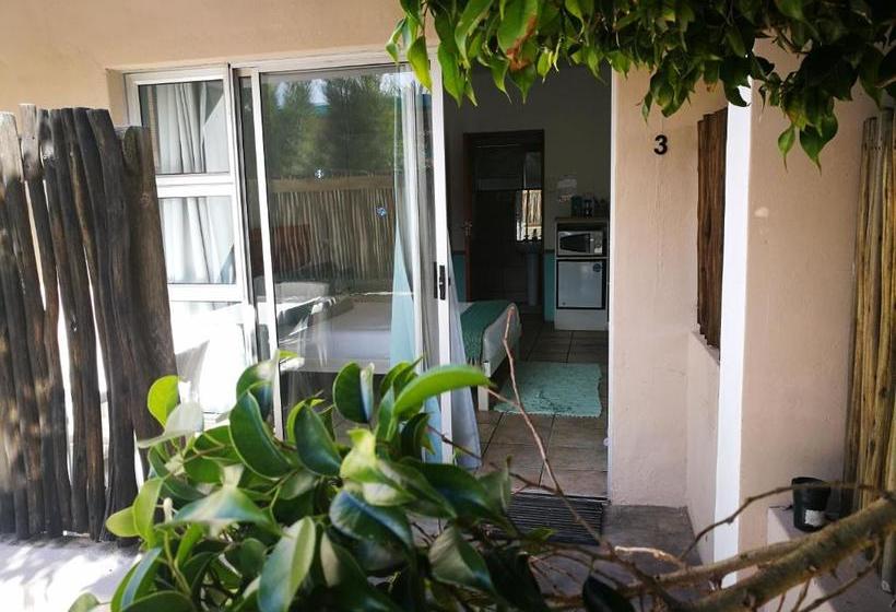 פנסיון Due South Guest House