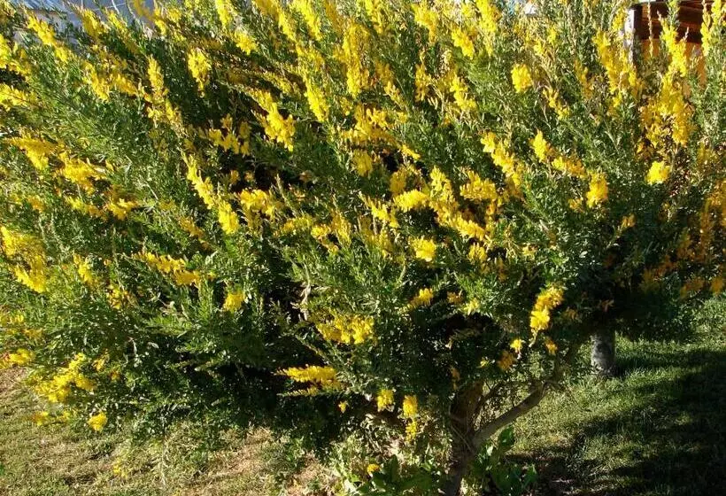 Cabañas Marias Del Sur