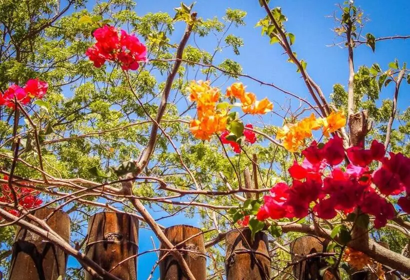 Majatalo Vibra Guesthouse