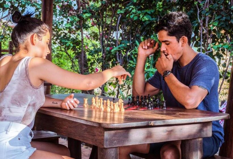 پانسیون Vibra Guesthouse