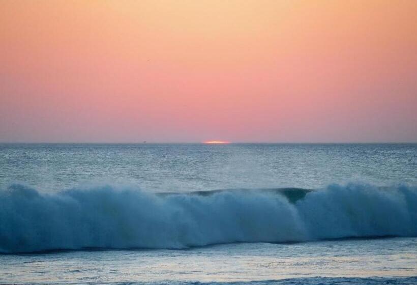 پانسیون Vibra Guesthouse