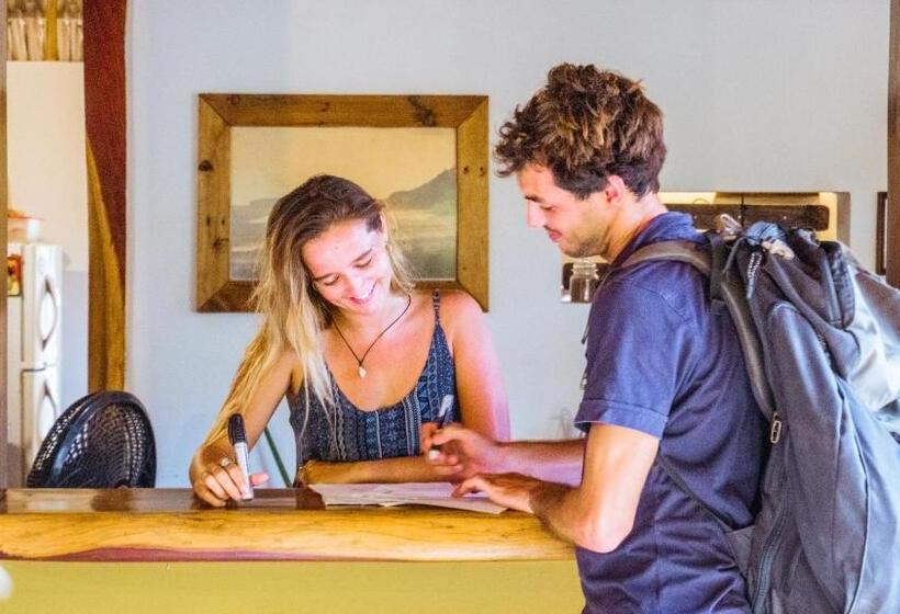 پانسیون Vibra Guesthouse