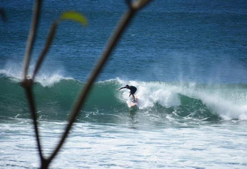 پانسیون Vibra Guesthouse