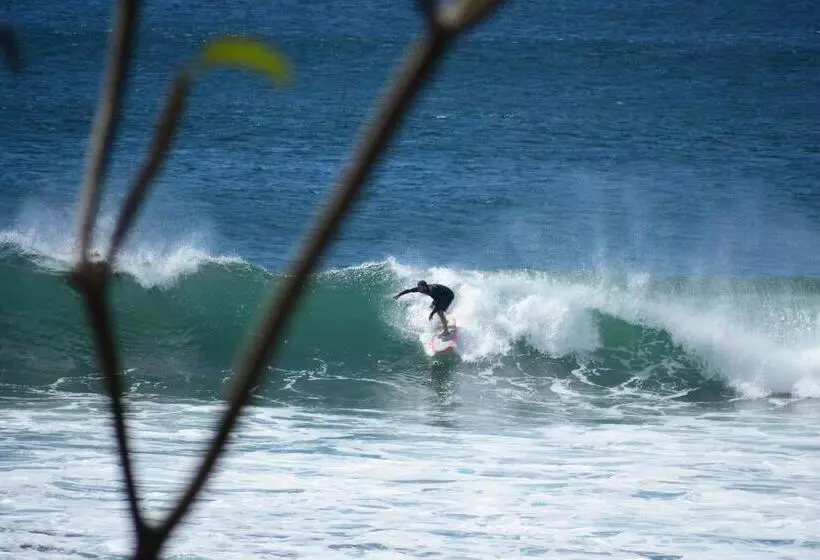 Majatalo Vibra Guesthouse