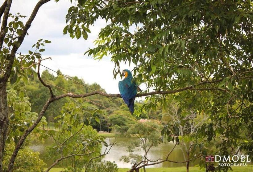 Отель Pousada Fazenda Buracão