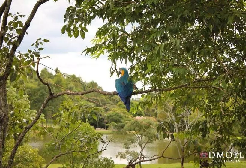 ホテル Pousada Fazenda Buracão