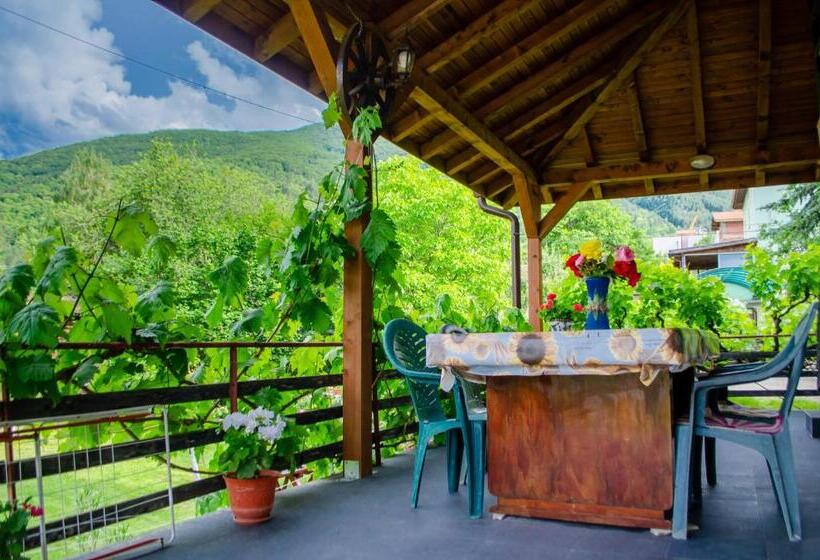 Pension Danailovi Guest House