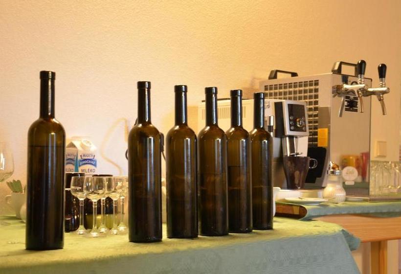 Pensionat Penzion U Starých Sádek