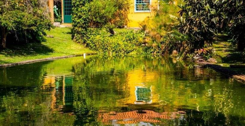 پانسیون Pousada Amoedo