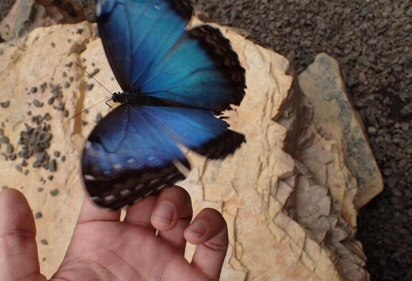 פנסיון Hostal Henrry S