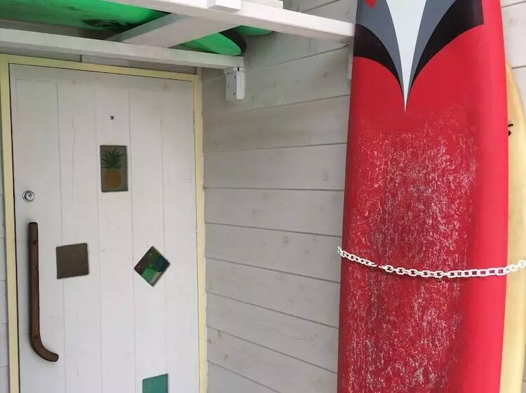 ペンション Shimanchu Guest House Yuien