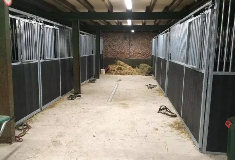 هتل De Distelhoeve