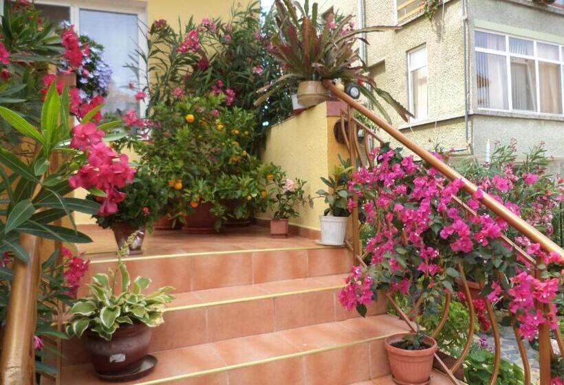 بنسيون Guest House Stoyanovi