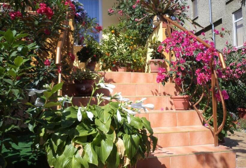 بنسيون Guest House Stoyanovi