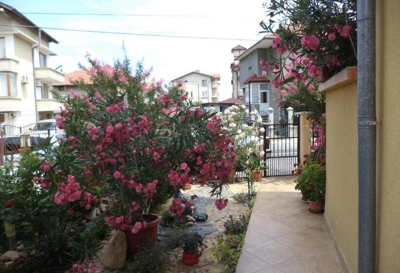 بنسيون Guest House Stoyanovi