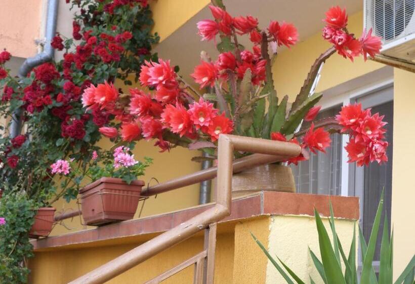 بنسيون Guest House Stoyanovi