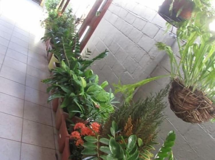 Pensão Pousada Zenite