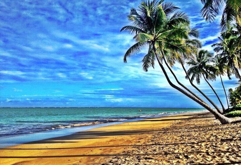 پانسیون Pousada Xue