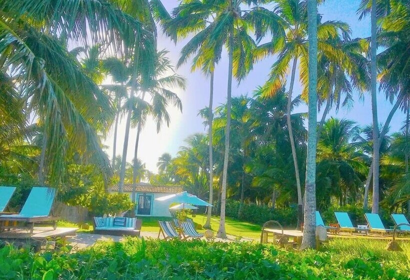 پانسیون Pousada Xue