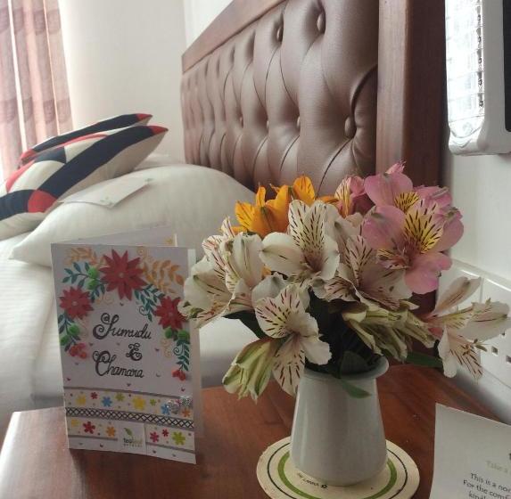 مبيت وإفطار Tealeaf