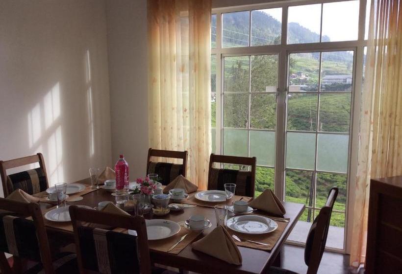 مبيت وإفطار Tealeaf