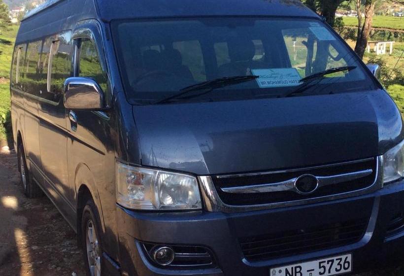 مبيت وإفطار Tealeaf