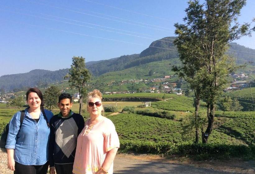 مبيت وإفطار Tealeaf