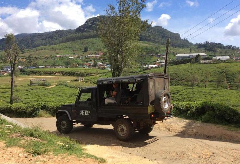 مبيت وإفطار Tealeaf