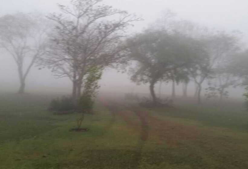 Pansiyon Bosque Da Neblina