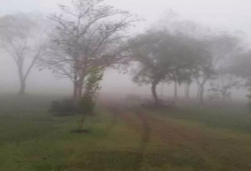 Majatalo Bosque Da Neblina