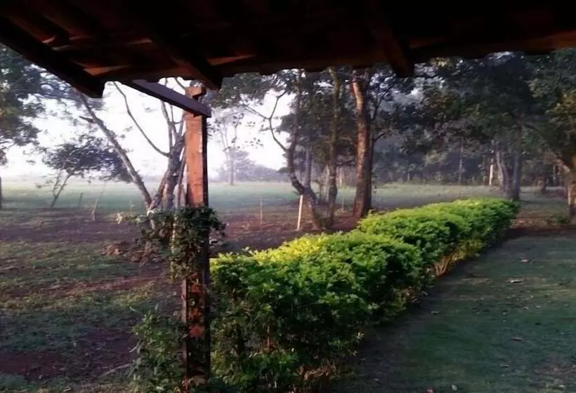 Majatalo Bosque Da Neblina