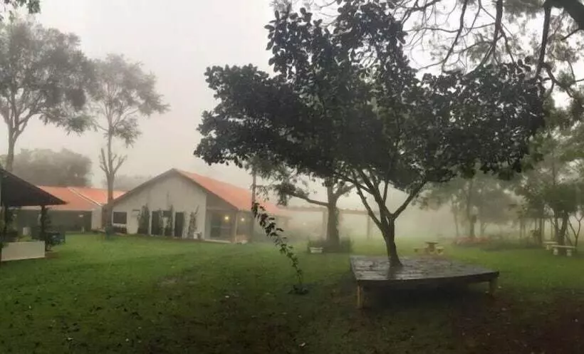 Majatalo Bosque Da Neblina